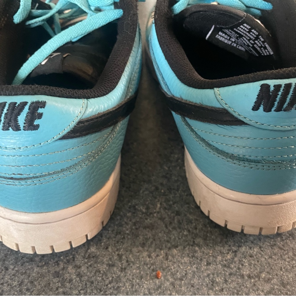 Men’s Nike Dunks